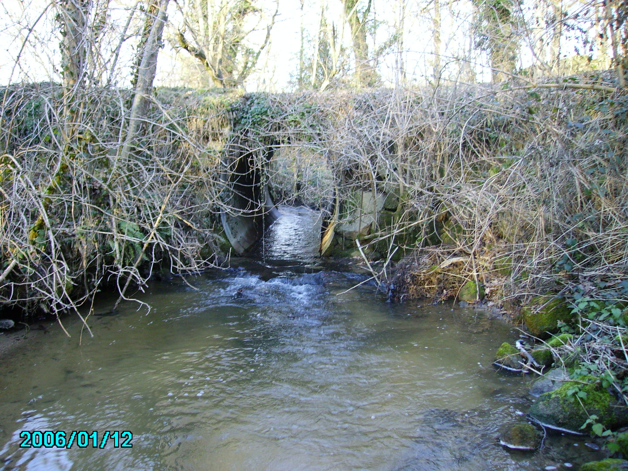 Lire la suite à propos de l’article SMBV2A INFORMATION AUX RIVERAINS DES COURS D’EAU